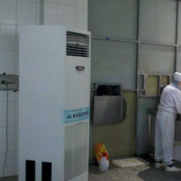 毕节食品正负离子空气杀菌器